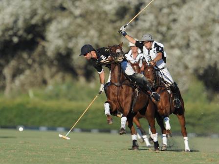 Polo in Sotogrande, Spain